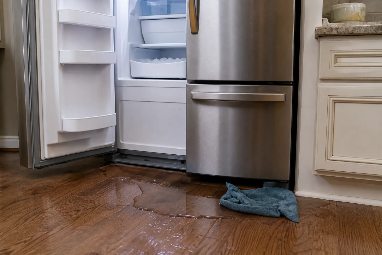 Refrigerator leak call typical in Edwards Landing kitchens